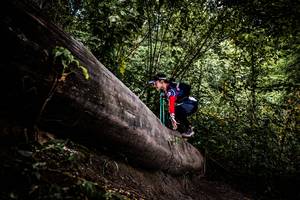 BIB: 
                            <button type="button" onclick="openModal(13525319)" class="btn btn-primary btn-sm float-right btn-popup" data-toggle="modal" data-target=".modal-high-quality">
                        <i class="fas fa-shopping-cart"></i> Add to Cart
                    </button>
                                            <button type="button" onclick="isThisMe(13525319, true)" class="btn btn-success btn-sm float-right btn-popup btn-isme hidden" data-toggle="tooltip" data-placement="bottom" title="นี่คือรูปของคุณใช่ไหม คลิกที่นี่เพื่อเอาเข้าอัลบั้ม">
                        <i class="fas fa-plus"></i> Add to album
                    </button>
                    <button type="button" onclick="isThisMe(13525319, false)" class="btn btn-warning btn-sm float-right btn-popup btn-isnotme hidden">
                        <i class="fas fa-ban"></i> Remove from album
                    </button>