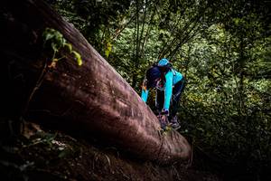 BIB: 
                            <button type="button" onclick="openModal(13525378)" class="btn btn-primary btn-sm float-right btn-popup" data-toggle="modal" data-target=".modal-high-quality">
                        <i class="fas fa-shopping-cart"></i> Add to Cart
                    </button>
                                            <button type="button" onclick="isThisMe(13525378, true)" class="btn btn-success btn-sm float-right btn-popup btn-isme hidden" data-toggle="tooltip" data-placement="bottom" title="นี่คือรูปของคุณใช่ไหม คลิกที่นี่เพื่อเอาเข้าอัลบั้ม">
                        <i class="fas fa-plus"></i> Add to album
                    </button>
                    <button type="button" onclick="isThisMe(13525378, false)" class="btn btn-warning btn-sm float-right btn-popup btn-isnotme hidden">
                        <i class="fas fa-ban"></i> Remove from album
                    </button>