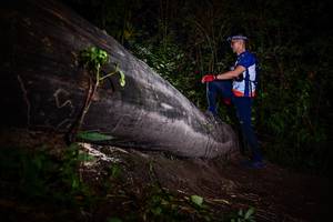 BIB: 
                            <button type="button" onclick="openModal(13518949)" class="btn btn-primary btn-sm float-right btn-popup" data-toggle="modal" data-target=".modal-high-quality">
                        <i class="fas fa-shopping-cart"></i> Add to Cart
                    </button>
                                            <button type="button" onclick="isThisMe(13518949, true)" class="btn btn-success btn-sm float-right btn-popup btn-isme hidden" data-toggle="tooltip" data-placement="bottom" title="นี่คือรูปของคุณใช่ไหม คลิกที่นี่เพื่อเอาเข้าอัลบั้ม">
                        <i class="fas fa-plus"></i> Add to album
                    </button>
                    <button type="button" onclick="isThisMe(13518949, false)" class="btn btn-warning btn-sm float-right btn-popup btn-isnotme hidden">
                        <i class="fas fa-ban"></i> Remove from album
                    </button>