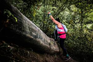 BIB: 
                            <button type="button" onclick="openModal(13525749)" class="btn btn-primary btn-sm float-right btn-popup" data-toggle="modal" data-target=".modal-high-quality">
                        <i class="fas fa-shopping-cart"></i> Add to Cart
                    </button>
                                            <button type="button" onclick="isThisMe(13525749, true)" class="btn btn-success btn-sm float-right btn-popup btn-isme hidden" data-toggle="tooltip" data-placement="bottom" title="นี่คือรูปของคุณใช่ไหม คลิกที่นี่เพื่อเอาเข้าอัลบั้ม">
                        <i class="fas fa-plus"></i> Add to album
                    </button>
                    <button type="button" onclick="isThisMe(13525749, false)" class="btn btn-warning btn-sm float-right btn-popup btn-isnotme hidden">
                        <i class="fas fa-ban"></i> Remove from album
                    </button>