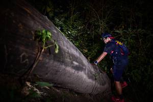 BIB: 
                            <button type="button" onclick="openModal(13518253)" class="btn btn-primary btn-sm float-right btn-popup" data-toggle="modal" data-target=".modal-high-quality">
                        <i class="fas fa-shopping-cart"></i> Add to Cart
                    </button>
                                            <button type="button" onclick="isThisMe(13518253, true)" class="btn btn-success btn-sm float-right btn-popup btn-isme hidden" data-toggle="tooltip" data-placement="bottom" title="นี่คือรูปของคุณใช่ไหม คลิกที่นี่เพื่อเอาเข้าอัลบั้ม">
                        <i class="fas fa-plus"></i> Add to album
                    </button>
                    <button type="button" onclick="isThisMe(13518253, false)" class="btn btn-warning btn-sm float-right btn-popup btn-isnotme hidden">
                        <i class="fas fa-ban"></i> Remove from album
                    </button>