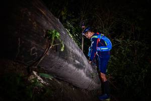 BIB: 
                            <button type="button" onclick="openModal(13518160)" class="btn btn-primary btn-sm float-right btn-popup" data-toggle="modal" data-target=".modal-high-quality">
                        <i class="fas fa-shopping-cart"></i> Add to Cart
                    </button>
                                            <button type="button" onclick="isThisMe(13518160, true)" class="btn btn-success btn-sm float-right btn-popup btn-isme hidden" data-toggle="tooltip" data-placement="bottom" title="นี่คือรูปของคุณใช่ไหม คลิกที่นี่เพื่อเอาเข้าอัลบั้ม">
                        <i class="fas fa-plus"></i> Add to album
                    </button>
                    <button type="button" onclick="isThisMe(13518160, false)" class="btn btn-warning btn-sm float-right btn-popup btn-isnotme hidden">
                        <i class="fas fa-ban"></i> Remove from album
                    </button>