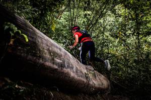 BIB: 
                            <button type="button" onclick="openModal(13525726)" class="btn btn-primary btn-sm float-right btn-popup" data-toggle="modal" data-target=".modal-high-quality">
                        <i class="fas fa-shopping-cart"></i> Add to Cart
                    </button>
                                            <button type="button" onclick="isThisMe(13525726, true)" class="btn btn-success btn-sm float-right btn-popup btn-isme hidden" data-toggle="tooltip" data-placement="bottom" title="นี่คือรูปของคุณใช่ไหม คลิกที่นี่เพื่อเอาเข้าอัลบั้ม">
                        <i class="fas fa-plus"></i> Add to album
                    </button>
                    <button type="button" onclick="isThisMe(13525726, false)" class="btn btn-warning btn-sm float-right btn-popup btn-isnotme hidden">
                        <i class="fas fa-ban"></i> Remove from album
                    </button>