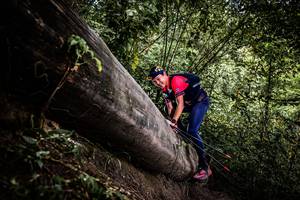 BIB: 
                            <button type="button" onclick="openModal(13524081)" class="btn btn-primary btn-sm float-right btn-popup" data-toggle="modal" data-target=".modal-high-quality">
                        <i class="fas fa-shopping-cart"></i> Add to Cart
                    </button>
                                            <button type="button" onclick="isThisMe(13524081, true)" class="btn btn-success btn-sm float-right btn-popup btn-isme hidden" data-toggle="tooltip" data-placement="bottom" title="นี่คือรูปของคุณใช่ไหม คลิกที่นี่เพื่อเอาเข้าอัลบั้ม">
                        <i class="fas fa-plus"></i> Add to album
                    </button>
                    <button type="button" onclick="isThisMe(13524081, false)" class="btn btn-warning btn-sm float-right btn-popup btn-isnotme hidden">
                        <i class="fas fa-ban"></i> Remove from album
                    </button>