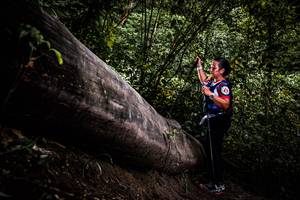 BIB: 
                            <button type="button" onclick="openModal(13525523)" class="btn btn-primary btn-sm float-right btn-popup" data-toggle="modal" data-target=".modal-high-quality">
                        <i class="fas fa-shopping-cart"></i> Add to Cart
                    </button>
                                            <button type="button" onclick="isThisMe(13525523, true)" class="btn btn-success btn-sm float-right btn-popup btn-isme hidden" data-toggle="tooltip" data-placement="bottom" title="นี่คือรูปของคุณใช่ไหม คลิกที่นี่เพื่อเอาเข้าอัลบั้ม">
                        <i class="fas fa-plus"></i> Add to album
                    </button>
                    <button type="button" onclick="isThisMe(13525523, false)" class="btn btn-warning btn-sm float-right btn-popup btn-isnotme hidden">
                        <i class="fas fa-ban"></i> Remove from album
                    </button>