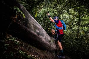 BIB: 
                            <button type="button" onclick="openModal(13525311)" class="btn btn-primary btn-sm float-right btn-popup" data-toggle="modal" data-target=".modal-high-quality">
                        <i class="fas fa-shopping-cart"></i> Add to Cart
                    </button>
                                            <button type="button" onclick="isThisMe(13525311, true)" class="btn btn-success btn-sm float-right btn-popup btn-isme hidden" data-toggle="tooltip" data-placement="bottom" title="นี่คือรูปของคุณใช่ไหม คลิกที่นี่เพื่อเอาเข้าอัลบั้ม">
                        <i class="fas fa-plus"></i> Add to album
                    </button>
                    <button type="button" onclick="isThisMe(13525311, false)" class="btn btn-warning btn-sm float-right btn-popup btn-isnotme hidden">
                        <i class="fas fa-ban"></i> Remove from album
                    </button>