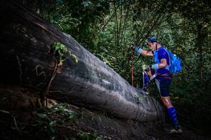 BIB: 
                            <button type="button" onclick="openModal(13519589)" class="btn btn-primary btn-sm float-right btn-popup" data-toggle="modal" data-target=".modal-high-quality">
                        <i class="fas fa-shopping-cart"></i> Add to Cart
                    </button>
                                            <button type="button" onclick="isThisMe(13519589, true)" class="btn btn-success btn-sm float-right btn-popup btn-isme hidden" data-toggle="tooltip" data-placement="bottom" title="นี่คือรูปของคุณใช่ไหม คลิกที่นี่เพื่อเอาเข้าอัลบั้ม">
                        <i class="fas fa-plus"></i> Add to album
                    </button>
                    <button type="button" onclick="isThisMe(13519589, false)" class="btn btn-warning btn-sm float-right btn-popup btn-isnotme hidden">
                        <i class="fas fa-ban"></i> Remove from album
                    </button>