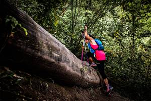 BIB: 
                            <button type="button" onclick="openModal(13525740)" class="btn btn-primary btn-sm float-right btn-popup" data-toggle="modal" data-target=".modal-high-quality">
                        <i class="fas fa-shopping-cart"></i> Add to Cart
                    </button>
                                            <button type="button" onclick="isThisMe(13525740, true)" class="btn btn-success btn-sm float-right btn-popup btn-isme hidden" data-toggle="tooltip" data-placement="bottom" title="นี่คือรูปของคุณใช่ไหม คลิกที่นี่เพื่อเอาเข้าอัลบั้ม">
                        <i class="fas fa-plus"></i> Add to album
                    </button>
                    <button type="button" onclick="isThisMe(13525740, false)" class="btn btn-warning btn-sm float-right btn-popup btn-isnotme hidden">
                        <i class="fas fa-ban"></i> Remove from album
                    </button>