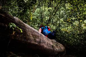 BIB: 
                            <button type="button" onclick="openModal(13525931)" class="btn btn-primary btn-sm float-right btn-popup" data-toggle="modal" data-target=".modal-high-quality">
                        <i class="fas fa-shopping-cart"></i> Add to Cart
                    </button>
                                            <button type="button" onclick="isThisMe(13525931, true)" class="btn btn-success btn-sm float-right btn-popup btn-isme hidden" data-toggle="tooltip" data-placement="bottom" title="นี่คือรูปของคุณใช่ไหม คลิกที่นี่เพื่อเอาเข้าอัลบั้ม">
                        <i class="fas fa-plus"></i> Add to album
                    </button>
                    <button type="button" onclick="isThisMe(13525931, false)" class="btn btn-warning btn-sm float-right btn-popup btn-isnotme hidden">
                        <i class="fas fa-ban"></i> Remove from album
                    </button>