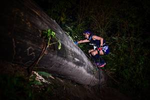 BIB: 
                            <button type="button" onclick="openModal(13518804)" class="btn btn-primary btn-sm float-right btn-popup" data-toggle="modal" data-target=".modal-high-quality">
                        <i class="fas fa-shopping-cart"></i> Add to Cart
                    </button>
                                            <button type="button" onclick="isThisMe(13518804, true)" class="btn btn-success btn-sm float-right btn-popup btn-isme hidden" data-toggle="tooltip" data-placement="bottom" title="นี่คือรูปของคุณใช่ไหม คลิกที่นี่เพื่อเอาเข้าอัลบั้ม">
                        <i class="fas fa-plus"></i> Add to album
                    </button>
                    <button type="button" onclick="isThisMe(13518804, false)" class="btn btn-warning btn-sm float-right btn-popup btn-isnotme hidden">
                        <i class="fas fa-ban"></i> Remove from album
                    </button>