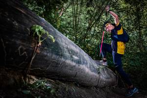 BIB: 
                            <button type="button" onclick="openModal(13519923)" class="btn btn-primary btn-sm float-right btn-popup" data-toggle="modal" data-target=".modal-high-quality">
                        <i class="fas fa-shopping-cart"></i> Add to Cart
                    </button>
                                            <button type="button" onclick="isThisMe(13519923, true)" class="btn btn-success btn-sm float-right btn-popup btn-isme hidden" data-toggle="tooltip" data-placement="bottom" title="นี่คือรูปของคุณใช่ไหม คลิกที่นี่เพื่อเอาเข้าอัลบั้ม">
                        <i class="fas fa-plus"></i> Add to album
                    </button>
                    <button type="button" onclick="isThisMe(13519923, false)" class="btn btn-warning btn-sm float-right btn-popup btn-isnotme hidden">
                        <i class="fas fa-ban"></i> Remove from album
                    </button>