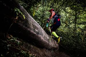 BIB: 
                            <button type="button" onclick="openModal(13525195)" class="btn btn-primary btn-sm float-right btn-popup" data-toggle="modal" data-target=".modal-high-quality">
                        <i class="fas fa-shopping-cart"></i> Add to Cart
                    </button>
                                            <button type="button" onclick="isThisMe(13525195, true)" class="btn btn-success btn-sm float-right btn-popup btn-isme hidden" data-toggle="tooltip" data-placement="bottom" title="นี่คือรูปของคุณใช่ไหม คลิกที่นี่เพื่อเอาเข้าอัลบั้ม">
                        <i class="fas fa-plus"></i> Add to album
                    </button>
                    <button type="button" onclick="isThisMe(13525195, false)" class="btn btn-warning btn-sm float-right btn-popup btn-isnotme hidden">
                        <i class="fas fa-ban"></i> Remove from album
                    </button>