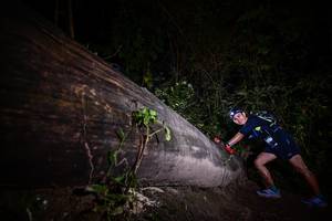 BIB: 
                            <button type="button" onclick="openModal(13517620)" class="btn btn-primary btn-sm float-right btn-popup" data-toggle="modal" data-target=".modal-high-quality">
                        <i class="fas fa-shopping-cart"></i> Add to Cart
                    </button>
                                            <button type="button" onclick="isThisMe(13517620, true)" class="btn btn-success btn-sm float-right btn-popup btn-isme hidden" data-toggle="tooltip" data-placement="bottom" title="นี่คือรูปของคุณใช่ไหม คลิกที่นี่เพื่อเอาเข้าอัลบั้ม">
                        <i class="fas fa-plus"></i> Add to album
                    </button>
                    <button type="button" onclick="isThisMe(13517620, false)" class="btn btn-warning btn-sm float-right btn-popup btn-isnotme hidden">
                        <i class="fas fa-ban"></i> Remove from album
                    </button>