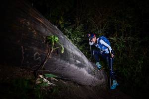 BIB: 
                            <button type="button" onclick="openModal(13518188)" class="btn btn-primary btn-sm float-right btn-popup" data-toggle="modal" data-target=".modal-high-quality">
                        <i class="fas fa-shopping-cart"></i> Add to Cart
                    </button>
                                            <button type="button" onclick="isThisMe(13518188, true)" class="btn btn-success btn-sm float-right btn-popup btn-isme hidden" data-toggle="tooltip" data-placement="bottom" title="นี่คือรูปของคุณใช่ไหม คลิกที่นี่เพื่อเอาเข้าอัลบั้ม">
                        <i class="fas fa-plus"></i> Add to album
                    </button>
                    <button type="button" onclick="isThisMe(13518188, false)" class="btn btn-warning btn-sm float-right btn-popup btn-isnotme hidden">
                        <i class="fas fa-ban"></i> Remove from album
                    </button>