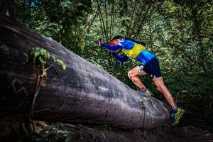 BIB: 
                            <button type="button" onclick="openModal(13519850)" class="btn btn-primary btn-sm float-right btn-popup" data-toggle="modal" data-target=".modal-high-quality">
                        <i class="fas fa-shopping-cart"></i> Add to Cart
                    </button>
                                            <button type="button" onclick="isThisMe(13519850, true)" class="btn btn-success btn-sm float-right btn-popup btn-isme hidden" data-toggle="tooltip" data-placement="bottom" title="นี่คือรูปของคุณใช่ไหม คลิกที่นี่เพื่อเอาเข้าอัลบั้ม">
                        <i class="fas fa-plus"></i> Add to album
                    </button>
                    <button type="button" onclick="isThisMe(13519850, false)" class="btn btn-warning btn-sm float-right btn-popup btn-isnotme hidden">
                        <i class="fas fa-ban"></i> Remove from album
                    </button>