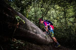 BIB: 
                            <button type="button" onclick="openModal(13523256)" class="btn btn-primary btn-sm float-right btn-popup" data-toggle="modal" data-target=".modal-high-quality">
                        <i class="fas fa-shopping-cart"></i> Add to Cart
                    </button>
                                            <button type="button" onclick="isThisMe(13523256, true)" class="btn btn-success btn-sm float-right btn-popup btn-isme hidden" data-toggle="tooltip" data-placement="bottom" title="นี่คือรูปของคุณใช่ไหม คลิกที่นี่เพื่อเอาเข้าอัลบั้ม">
                        <i class="fas fa-plus"></i> Add to album
                    </button>
                    <button type="button" onclick="isThisMe(13523256, false)" class="btn btn-warning btn-sm float-right btn-popup btn-isnotme hidden">
                        <i class="fas fa-ban"></i> Remove from album
                    </button>