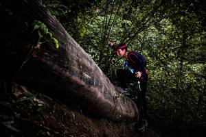 BIB: 
                            <button type="button" onclick="openModal(13525496)" class="btn btn-primary btn-sm float-right btn-popup" data-toggle="modal" data-target=".modal-high-quality">
                        <i class="fas fa-shopping-cart"></i> Add to Cart
                    </button>
                                            <button type="button" onclick="isThisMe(13525496, true)" class="btn btn-success btn-sm float-right btn-popup btn-isme hidden" data-toggle="tooltip" data-placement="bottom" title="นี่คือรูปของคุณใช่ไหม คลิกที่นี่เพื่อเอาเข้าอัลบั้ม">
                        <i class="fas fa-plus"></i> Add to album
                    </button>
                    <button type="button" onclick="isThisMe(13525496, false)" class="btn btn-warning btn-sm float-right btn-popup btn-isnotme hidden">
                        <i class="fas fa-ban"></i> Remove from album
                    </button>