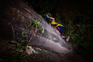 BIB: 
                            <button type="button" onclick="openModal(13517680)" class="btn btn-primary btn-sm float-right btn-popup" data-toggle="modal" data-target=".modal-high-quality">
                        <i class="fas fa-shopping-cart"></i> Add to Cart
                    </button>
                                            <button type="button" onclick="isThisMe(13517680, true)" class="btn btn-success btn-sm float-right btn-popup btn-isme hidden" data-toggle="tooltip" data-placement="bottom" title="นี่คือรูปของคุณใช่ไหม คลิกที่นี่เพื่อเอาเข้าอัลบั้ม">
                        <i class="fas fa-plus"></i> Add to album
                    </button>
                    <button type="button" onclick="isThisMe(13517680, false)" class="btn btn-warning btn-sm float-right btn-popup btn-isnotme hidden">
                        <i class="fas fa-ban"></i> Remove from album
                    </button>