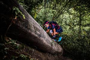 BIB: 
                            <button type="button" onclick="openModal(13523829)" class="btn btn-primary btn-sm float-right btn-popup" data-toggle="modal" data-target=".modal-high-quality">
                        <i class="fas fa-shopping-cart"></i> Add to Cart
                    </button>
                                            <button type="button" onclick="isThisMe(13523829, true)" class="btn btn-success btn-sm float-right btn-popup btn-isme hidden" data-toggle="tooltip" data-placement="bottom" title="นี่คือรูปของคุณใช่ไหม คลิกที่นี่เพื่อเอาเข้าอัลบั้ม">
                        <i class="fas fa-plus"></i> Add to album
                    </button>
                    <button type="button" onclick="isThisMe(13523829, false)" class="btn btn-warning btn-sm float-right btn-popup btn-isnotme hidden">
                        <i class="fas fa-ban"></i> Remove from album
                    </button>