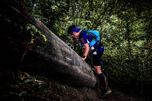 BIB: 
                            <button type="button" onclick="openModal(13525371)" class="btn btn-primary btn-sm float-right btn-popup" data-toggle="modal" data-target=".modal-high-quality">
                        <i class="fas fa-shopping-cart"></i> Add to Cart
                    </button>
                                            <button type="button" onclick="isThisMe(13525371, true)" class="btn btn-success btn-sm float-right btn-popup btn-isme hidden" data-toggle="tooltip" data-placement="bottom" title="นี่คือรูปของคุณใช่ไหม คลิกที่นี่เพื่อเอาเข้าอัลบั้ม">
                        <i class="fas fa-plus"></i> Add to album
                    </button>
                    <button type="button" onclick="isThisMe(13525371, false)" class="btn btn-warning btn-sm float-right btn-popup btn-isnotme hidden">
                        <i class="fas fa-ban"></i> Remove from album
                    </button>