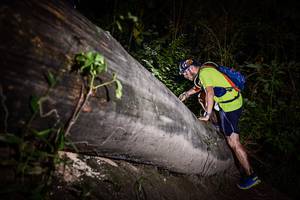 BIB: 
                            <button type="button" onclick="openModal(13517702)" class="btn btn-primary btn-sm float-right btn-popup" data-toggle="modal" data-target=".modal-high-quality">
                        <i class="fas fa-shopping-cart"></i> Add to Cart
                    </button>
                                            <button type="button" onclick="isThisMe(13517702, true)" class="btn btn-success btn-sm float-right btn-popup btn-isme hidden" data-toggle="tooltip" data-placement="bottom" title="นี่คือรูปของคุณใช่ไหม คลิกที่นี่เพื่อเอาเข้าอัลบั้ม">
                        <i class="fas fa-plus"></i> Add to album
                    </button>
                    <button type="button" onclick="isThisMe(13517702, false)" class="btn btn-warning btn-sm float-right btn-popup btn-isnotme hidden">
                        <i class="fas fa-ban"></i> Remove from album
                    </button>