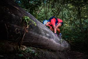 BIB: 
                            <button type="button" onclick="openModal(13519691)" class="btn btn-primary btn-sm float-right btn-popup" data-toggle="modal" data-target=".modal-high-quality">
                        <i class="fas fa-shopping-cart"></i> Add to Cart
                    </button>
                                            <button type="button" onclick="isThisMe(13519691, true)" class="btn btn-success btn-sm float-right btn-popup btn-isme hidden" data-toggle="tooltip" data-placement="bottom" title="นี่คือรูปของคุณใช่ไหม คลิกที่นี่เพื่อเอาเข้าอัลบั้ม">
                        <i class="fas fa-plus"></i> Add to album
                    </button>
                    <button type="button" onclick="isThisMe(13519691, false)" class="btn btn-warning btn-sm float-right btn-popup btn-isnotme hidden">
                        <i class="fas fa-ban"></i> Remove from album
                    </button>