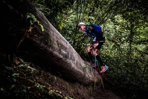 BIB: 
                            <button type="button" onclick="openModal(13525246)" class="btn btn-primary btn-sm float-right btn-popup" data-toggle="modal" data-target=".modal-high-quality">
                        <i class="fas fa-shopping-cart"></i> Add to Cart
                    </button>
                                            <button type="button" onclick="isThisMe(13525246, true)" class="btn btn-success btn-sm float-right btn-popup btn-isme hidden" data-toggle="tooltip" data-placement="bottom" title="นี่คือรูปของคุณใช่ไหม คลิกที่นี่เพื่อเอาเข้าอัลบั้ม">
                        <i class="fas fa-plus"></i> Add to album
                    </button>
                    <button type="button" onclick="isThisMe(13525246, false)" class="btn btn-warning btn-sm float-right btn-popup btn-isnotme hidden">
                        <i class="fas fa-ban"></i> Remove from album
                    </button>