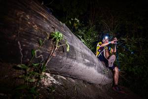 BIB: 
                            <button type="button" onclick="openModal(13517679)" class="btn btn-primary btn-sm float-right btn-popup" data-toggle="modal" data-target=".modal-high-quality">
                        <i class="fas fa-shopping-cart"></i> Add to Cart
                    </button>
                                            <button type="button" onclick="isThisMe(13517679, true)" class="btn btn-success btn-sm float-right btn-popup btn-isme hidden" data-toggle="tooltip" data-placement="bottom" title="นี่คือรูปของคุณใช่ไหม คลิกที่นี่เพื่อเอาเข้าอัลบั้ม">
                        <i class="fas fa-plus"></i> Add to album
                    </button>
                    <button type="button" onclick="isThisMe(13517679, false)" class="btn btn-warning btn-sm float-right btn-popup btn-isnotme hidden">
                        <i class="fas fa-ban"></i> Remove from album
                    </button>