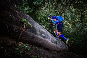 BIB: 
                            <button type="button" onclick="openModal(13519592)" class="btn btn-primary btn-sm float-right btn-popup" data-toggle="modal" data-target=".modal-high-quality">
                        <i class="fas fa-shopping-cart"></i> Add to Cart
                    </button>
                                            <button type="button" onclick="isThisMe(13519592, true)" class="btn btn-success btn-sm float-right btn-popup btn-isme hidden" data-toggle="tooltip" data-placement="bottom" title="นี่คือรูปของคุณใช่ไหม คลิกที่นี่เพื่อเอาเข้าอัลบั้ม">
                        <i class="fas fa-plus"></i> Add to album
                    </button>
                    <button type="button" onclick="isThisMe(13519592, false)" class="btn btn-warning btn-sm float-right btn-popup btn-isnotme hidden">
                        <i class="fas fa-ban"></i> Remove from album
                    </button>