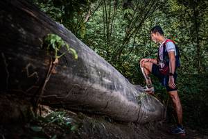 BIB: 
                            <button type="button" onclick="openModal(13519924)" class="btn btn-primary btn-sm float-right btn-popup" data-toggle="modal" data-target=".modal-high-quality">
                        <i class="fas fa-shopping-cart"></i> Add to Cart
                    </button>
                                            <button type="button" onclick="isThisMe(13519924, true)" class="btn btn-success btn-sm float-right btn-popup btn-isme hidden" data-toggle="tooltip" data-placement="bottom" title="นี่คือรูปของคุณใช่ไหม คลิกที่นี่เพื่อเอาเข้าอัลบั้ม">
                        <i class="fas fa-plus"></i> Add to album
                    </button>
                    <button type="button" onclick="isThisMe(13519924, false)" class="btn btn-warning btn-sm float-right btn-popup btn-isnotme hidden">
                        <i class="fas fa-ban"></i> Remove from album
                    </button>