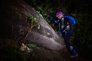 BIB: 
                            <button type="button" onclick="openModal(13518335)" class="btn btn-primary btn-sm float-right btn-popup" data-toggle="modal" data-target=".modal-high-quality">
                        <i class="fas fa-shopping-cart"></i> Add to Cart
                    </button>
                                            <button type="button" onclick="isThisMe(13518335, true)" class="btn btn-success btn-sm float-right btn-popup btn-isme hidden" data-toggle="tooltip" data-placement="bottom" title="นี่คือรูปของคุณใช่ไหม คลิกที่นี่เพื่อเอาเข้าอัลบั้ม">
                        <i class="fas fa-plus"></i> Add to album
                    </button>
                    <button type="button" onclick="isThisMe(13518335, false)" class="btn btn-warning btn-sm float-right btn-popup btn-isnotme hidden">
                        <i class="fas fa-ban"></i> Remove from album
                    </button>