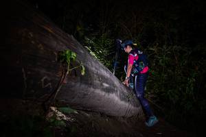 BIB: 
                            <button type="button" onclick="openModal(13518023)" class="btn btn-primary btn-sm float-right btn-popup" data-toggle="modal" data-target=".modal-high-quality">
                        <i class="fas fa-shopping-cart"></i> Add to Cart
                    </button>
                                            <button type="button" onclick="isThisMe(13518023, true)" class="btn btn-success btn-sm float-right btn-popup btn-isme hidden" data-toggle="tooltip" data-placement="bottom" title="นี่คือรูปของคุณใช่ไหม คลิกที่นี่เพื่อเอาเข้าอัลบั้ม">
                        <i class="fas fa-plus"></i> Add to album
                    </button>
                    <button type="button" onclick="isThisMe(13518023, false)" class="btn btn-warning btn-sm float-right btn-popup btn-isnotme hidden">
                        <i class="fas fa-ban"></i> Remove from album
                    </button>