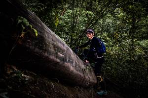 BIB: 
                            <button type="button" onclick="openModal(13525478)" class="btn btn-primary btn-sm float-right btn-popup" data-toggle="modal" data-target=".modal-high-quality">
                        <i class="fas fa-shopping-cart"></i> Add to Cart
                    </button>
                                            <button type="button" onclick="isThisMe(13525478, true)" class="btn btn-success btn-sm float-right btn-popup btn-isme hidden" data-toggle="tooltip" data-placement="bottom" title="นี่คือรูปของคุณใช่ไหม คลิกที่นี่เพื่อเอาเข้าอัลบั้ม">
                        <i class="fas fa-plus"></i> Add to album
                    </button>
                    <button type="button" onclick="isThisMe(13525478, false)" class="btn btn-warning btn-sm float-right btn-popup btn-isnotme hidden">
                        <i class="fas fa-ban"></i> Remove from album
                    </button>