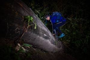 BIB: 
                            <button type="button" onclick="openModal(13518289)" class="btn btn-primary btn-sm float-right btn-popup" data-toggle="modal" data-target=".modal-high-quality">
                        <i class="fas fa-shopping-cart"></i> Add to Cart
                    </button>
                                            <button type="button" onclick="isThisMe(13518289, true)" class="btn btn-success btn-sm float-right btn-popup btn-isme hidden" data-toggle="tooltip" data-placement="bottom" title="นี่คือรูปของคุณใช่ไหม คลิกที่นี่เพื่อเอาเข้าอัลบั้ม">
                        <i class="fas fa-plus"></i> Add to album
                    </button>
                    <button type="button" onclick="isThisMe(13518289, false)" class="btn btn-warning btn-sm float-right btn-popup btn-isnotme hidden">
                        <i class="fas fa-ban"></i> Remove from album
                    </button>