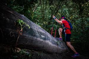 BIB: 
                            <button type="button" onclick="openModal(13519522)" class="btn btn-primary btn-sm float-right btn-popup" data-toggle="modal" data-target=".modal-high-quality">
                        <i class="fas fa-shopping-cart"></i> Add to Cart
                    </button>
                                            <button type="button" onclick="isThisMe(13519522, true)" class="btn btn-success btn-sm float-right btn-popup btn-isme hidden" data-toggle="tooltip" data-placement="bottom" title="นี่คือรูปของคุณใช่ไหม คลิกที่นี่เพื่อเอาเข้าอัลบั้ม">
                        <i class="fas fa-plus"></i> Add to album
                    </button>
                    <button type="button" onclick="isThisMe(13519522, false)" class="btn btn-warning btn-sm float-right btn-popup btn-isnotme hidden">
                        <i class="fas fa-ban"></i> Remove from album
                    </button>