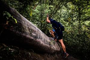 BIB: 
                            <button type="button" onclick="openModal(13525704)" class="btn btn-primary btn-sm float-right btn-popup" data-toggle="modal" data-target=".modal-high-quality">
                        <i class="fas fa-shopping-cart"></i> Add to Cart
                    </button>
                                            <button type="button" onclick="isThisMe(13525704, true)" class="btn btn-success btn-sm float-right btn-popup btn-isme hidden" data-toggle="tooltip" data-placement="bottom" title="นี่คือรูปของคุณใช่ไหม คลิกที่นี่เพื่อเอาเข้าอัลบั้ม">
                        <i class="fas fa-plus"></i> Add to album
                    </button>
                    <button type="button" onclick="isThisMe(13525704, false)" class="btn btn-warning btn-sm float-right btn-popup btn-isnotme hidden">
                        <i class="fas fa-ban"></i> Remove from album
                    </button>