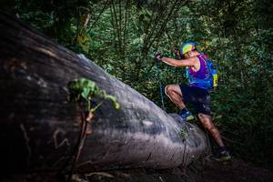 BIB: 
                            <button type="button" onclick="openModal(13519315)" class="btn btn-primary btn-sm float-right btn-popup" data-toggle="modal" data-target=".modal-high-quality">
                        <i class="fas fa-shopping-cart"></i> Add to Cart
                    </button>
                                            <button type="button" onclick="isThisMe(13519315, true)" class="btn btn-success btn-sm float-right btn-popup btn-isme hidden" data-toggle="tooltip" data-placement="bottom" title="นี่คือรูปของคุณใช่ไหม คลิกที่นี่เพื่อเอาเข้าอัลบั้ม">
                        <i class="fas fa-plus"></i> Add to album
                    </button>
                    <button type="button" onclick="isThisMe(13519315, false)" class="btn btn-warning btn-sm float-right btn-popup btn-isnotme hidden">
                        <i class="fas fa-ban"></i> Remove from album
                    </button>