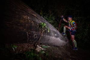 BIB: 
                            <button type="button" onclick="openModal(13517815)" class="btn btn-primary btn-sm float-right btn-popup" data-toggle="modal" data-target=".modal-high-quality">
                        <i class="fas fa-shopping-cart"></i> Add to Cart
                    </button>
                                            <button type="button" onclick="isThisMe(13517815, true)" class="btn btn-success btn-sm float-right btn-popup btn-isme hidden" data-toggle="tooltip" data-placement="bottom" title="นี่คือรูปของคุณใช่ไหม คลิกที่นี่เพื่อเอาเข้าอัลบั้ม">
                        <i class="fas fa-plus"></i> Add to album
                    </button>
                    <button type="button" onclick="isThisMe(13517815, false)" class="btn btn-warning btn-sm float-right btn-popup btn-isnotme hidden">
                        <i class="fas fa-ban"></i> Remove from album
                    </button>