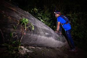 BIB: 
                            <button type="button" onclick="openModal(13517732)" class="btn btn-primary btn-sm float-right btn-popup" data-toggle="modal" data-target=".modal-high-quality">
                        <i class="fas fa-shopping-cart"></i> Add to Cart
                    </button>
                                            <button type="button" onclick="isThisMe(13517732, true)" class="btn btn-success btn-sm float-right btn-popup btn-isme hidden" data-toggle="tooltip" data-placement="bottom" title="นี่คือรูปของคุณใช่ไหม คลิกที่นี่เพื่อเอาเข้าอัลบั้ม">
                        <i class="fas fa-plus"></i> Add to album
                    </button>
                    <button type="button" onclick="isThisMe(13517732, false)" class="btn btn-warning btn-sm float-right btn-popup btn-isnotme hidden">
                        <i class="fas fa-ban"></i> Remove from album
                    </button>