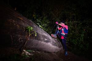 BIB: 
                            <button type="button" onclick="openModal(13517974)" class="btn btn-primary btn-sm float-right btn-popup" data-toggle="modal" data-target=".modal-high-quality">
                        <i class="fas fa-shopping-cart"></i> Add to Cart
                    </button>
                                            <button type="button" onclick="isThisMe(13517974, true)" class="btn btn-success btn-sm float-right btn-popup btn-isme hidden" data-toggle="tooltip" data-placement="bottom" title="นี่คือรูปของคุณใช่ไหม คลิกที่นี่เพื่อเอาเข้าอัลบั้ม">
                        <i class="fas fa-plus"></i> Add to album
                    </button>
                    <button type="button" onclick="isThisMe(13517974, false)" class="btn btn-warning btn-sm float-right btn-popup btn-isnotme hidden">
                        <i class="fas fa-ban"></i> Remove from album
                    </button>