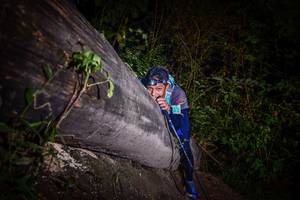 BIB: 
                            <button type="button" onclick="openModal(13517533)" class="btn btn-primary btn-sm float-right btn-popup" data-toggle="modal" data-target=".modal-high-quality">
                        <i class="fas fa-shopping-cart"></i> Add to Cart
                    </button>
                                            <button type="button" onclick="isThisMe(13517533, true)" class="btn btn-success btn-sm float-right btn-popup btn-isme hidden" data-toggle="tooltip" data-placement="bottom" title="นี่คือรูปของคุณใช่ไหม คลิกที่นี่เพื่อเอาเข้าอัลบั้ม">
                        <i class="fas fa-plus"></i> Add to album
                    </button>
                    <button type="button" onclick="isThisMe(13517533, false)" class="btn btn-warning btn-sm float-right btn-popup btn-isnotme hidden">
                        <i class="fas fa-ban"></i> Remove from album
                    </button>