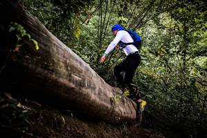 BIB: 
                            <button type="button" onclick="openModal(13525754)" class="btn btn-primary btn-sm float-right btn-popup" data-toggle="modal" data-target=".modal-high-quality">
                        <i class="fas fa-shopping-cart"></i> Add to Cart
                    </button>
                                            <button type="button" onclick="isThisMe(13525754, true)" class="btn btn-success btn-sm float-right btn-popup btn-isme hidden" data-toggle="tooltip" data-placement="bottom" title="นี่คือรูปของคุณใช่ไหม คลิกที่นี่เพื่อเอาเข้าอัลบั้ม">
                        <i class="fas fa-plus"></i> Add to album
                    </button>
                    <button type="button" onclick="isThisMe(13525754, false)" class="btn btn-warning btn-sm float-right btn-popup btn-isnotme hidden">
                        <i class="fas fa-ban"></i> Remove from album
                    </button>