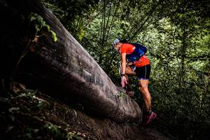 BIB: 
                            <button type="button" onclick="openModal(13525218)" class="btn btn-primary btn-sm float-right btn-popup" data-toggle="modal" data-target=".modal-high-quality">
                        <i class="fas fa-shopping-cart"></i> Add to Cart
                    </button>
                                            <button type="button" onclick="isThisMe(13525218, true)" class="btn btn-success btn-sm float-right btn-popup btn-isme hidden" data-toggle="tooltip" data-placement="bottom" title="นี่คือรูปของคุณใช่ไหม คลิกที่นี่เพื่อเอาเข้าอัลบั้ม">
                        <i class="fas fa-plus"></i> Add to album
                    </button>
                    <button type="button" onclick="isThisMe(13525218, false)" class="btn btn-warning btn-sm float-right btn-popup btn-isnotme hidden">
                        <i class="fas fa-ban"></i> Remove from album
                    </button>