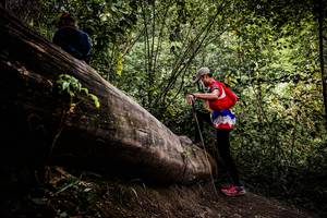 BIB: 
                            <button type="button" onclick="openModal(13525928)" class="btn btn-primary btn-sm float-right btn-popup" data-toggle="modal" data-target=".modal-high-quality">
                        <i class="fas fa-shopping-cart"></i> Add to Cart
                    </button>
                                            <button type="button" onclick="isThisMe(13525928, true)" class="btn btn-success btn-sm float-right btn-popup btn-isme hidden" data-toggle="tooltip" data-placement="bottom" title="นี่คือรูปของคุณใช่ไหม คลิกที่นี่เพื่อเอาเข้าอัลบั้ม">
                        <i class="fas fa-plus"></i> Add to album
                    </button>
                    <button type="button" onclick="isThisMe(13525928, false)" class="btn btn-warning btn-sm float-right btn-popup btn-isnotme hidden">
                        <i class="fas fa-ban"></i> Remove from album
                    </button>