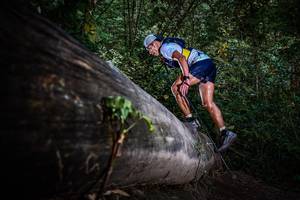 BIB: 
                            <button type="button" onclick="openModal(13519282)" class="btn btn-primary btn-sm float-right btn-popup" data-toggle="modal" data-target=".modal-high-quality">
                        <i class="fas fa-shopping-cart"></i> Add to Cart
                    </button>
                                            <button type="button" onclick="isThisMe(13519282, true)" class="btn btn-success btn-sm float-right btn-popup btn-isme hidden" data-toggle="tooltip" data-placement="bottom" title="นี่คือรูปของคุณใช่ไหม คลิกที่นี่เพื่อเอาเข้าอัลบั้ม">
                        <i class="fas fa-plus"></i> Add to album
                    </button>
                    <button type="button" onclick="isThisMe(13519282, false)" class="btn btn-warning btn-sm float-right btn-popup btn-isnotme hidden">
                        <i class="fas fa-ban"></i> Remove from album
                    </button>