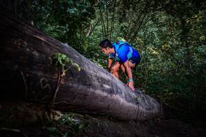 BIB: 
                            <button type="button" onclick="openModal(13519523)" class="btn btn-primary btn-sm float-right btn-popup" data-toggle="modal" data-target=".modal-high-quality">
                        <i class="fas fa-shopping-cart"></i> Add to Cart
                    </button>
                                            <button type="button" onclick="isThisMe(13519523, true)" class="btn btn-success btn-sm float-right btn-popup btn-isme hidden" data-toggle="tooltip" data-placement="bottom" title="นี่คือรูปของคุณใช่ไหม คลิกที่นี่เพื่อเอาเข้าอัลบั้ม">
                        <i class="fas fa-plus"></i> Add to album
                    </button>
                    <button type="button" onclick="isThisMe(13519523, false)" class="btn btn-warning btn-sm float-right btn-popup btn-isnotme hidden">
                        <i class="fas fa-ban"></i> Remove from album
                    </button>