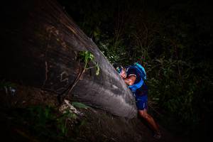 BIB: 
                            <button type="button" onclick="openModal(13518572)" class="btn btn-primary btn-sm float-right btn-popup" data-toggle="modal" data-target=".modal-high-quality">
                        <i class="fas fa-shopping-cart"></i> Add to Cart
                    </button>
                                            <button type="button" onclick="isThisMe(13518572, true)" class="btn btn-success btn-sm float-right btn-popup btn-isme hidden" data-toggle="tooltip" data-placement="bottom" title="นี่คือรูปของคุณใช่ไหม คลิกที่นี่เพื่อเอาเข้าอัลบั้ม">
                        <i class="fas fa-plus"></i> Add to album
                    </button>
                    <button type="button" onclick="isThisMe(13518572, false)" class="btn btn-warning btn-sm float-right btn-popup btn-isnotme hidden">
                        <i class="fas fa-ban"></i> Remove from album
                    </button>