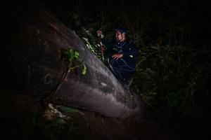 BIB: 
                            <button type="button" onclick="openModal(13518487)" class="btn btn-primary btn-sm float-right btn-popup" data-toggle="modal" data-target=".modal-high-quality">
                        <i class="fas fa-shopping-cart"></i> Add to Cart
                    </button>
                                            <button type="button" onclick="isThisMe(13518487, true)" class="btn btn-success btn-sm float-right btn-popup btn-isme hidden" data-toggle="tooltip" data-placement="bottom" title="นี่คือรูปของคุณใช่ไหม คลิกที่นี่เพื่อเอาเข้าอัลบั้ม">
                        <i class="fas fa-plus"></i> Add to album
                    </button>
                    <button type="button" onclick="isThisMe(13518487, false)" class="btn btn-warning btn-sm float-right btn-popup btn-isnotme hidden">
                        <i class="fas fa-ban"></i> Remove from album
                    </button>