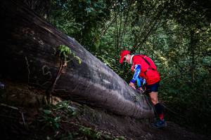 BIB: 
                            <button type="button" onclick="openModal(13519588)" class="btn btn-primary btn-sm float-right btn-popup" data-toggle="modal" data-target=".modal-high-quality">
                        <i class="fas fa-shopping-cart"></i> Add to Cart
                    </button>
                                            <button type="button" onclick="isThisMe(13519588, true)" class="btn btn-success btn-sm float-right btn-popup btn-isme hidden" data-toggle="tooltip" data-placement="bottom" title="นี่คือรูปของคุณใช่ไหม คลิกที่นี่เพื่อเอาเข้าอัลบั้ม">
                        <i class="fas fa-plus"></i> Add to album
                    </button>
                    <button type="button" onclick="isThisMe(13519588, false)" class="btn btn-warning btn-sm float-right btn-popup btn-isnotme hidden">
                        <i class="fas fa-ban"></i> Remove from album
                    </button>