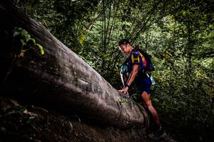 BIB: 
                            <button type="button" onclick="openModal(13525661)" class="btn btn-primary btn-sm float-right btn-popup" data-toggle="modal" data-target=".modal-high-quality">
                        <i class="fas fa-shopping-cart"></i> Add to Cart
                    </button>
                                            <button type="button" onclick="isThisMe(13525661, true)" class="btn btn-success btn-sm float-right btn-popup btn-isme hidden" data-toggle="tooltip" data-placement="bottom" title="นี่คือรูปของคุณใช่ไหม คลิกที่นี่เพื่อเอาเข้าอัลบั้ม">
                        <i class="fas fa-plus"></i> Add to album
                    </button>
                    <button type="button" onclick="isThisMe(13525661, false)" class="btn btn-warning btn-sm float-right btn-popup btn-isnotme hidden">
                        <i class="fas fa-ban"></i> Remove from album
                    </button>